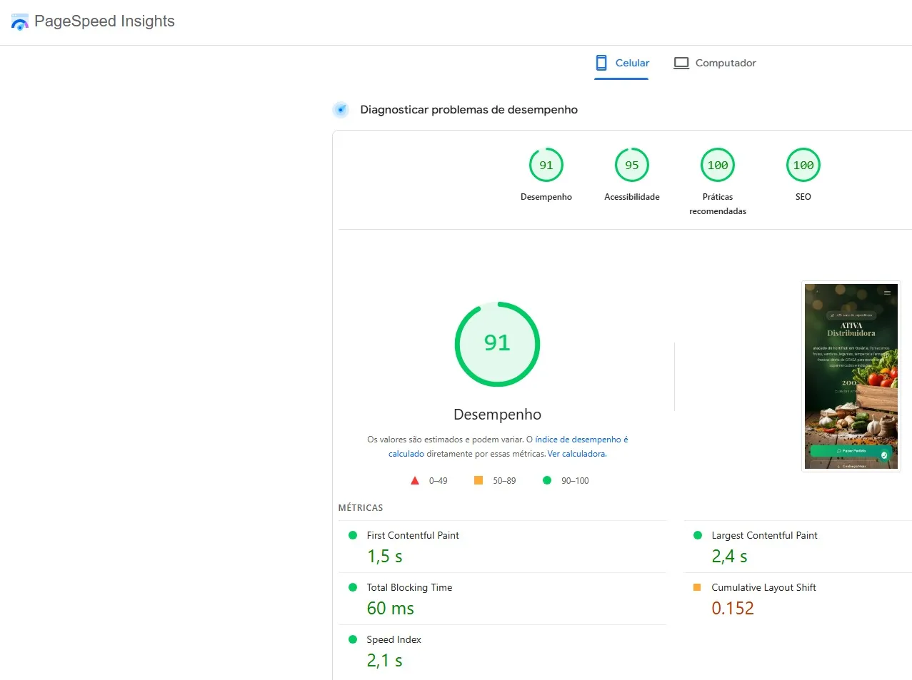 PageSpeed Insights — Ativa Distribuidora — Nota 91