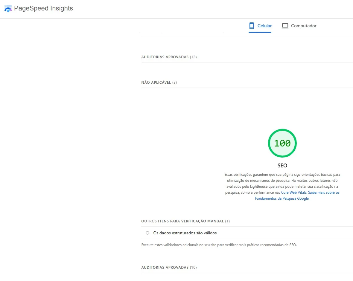PageSpeed Insights — SEO Score 100